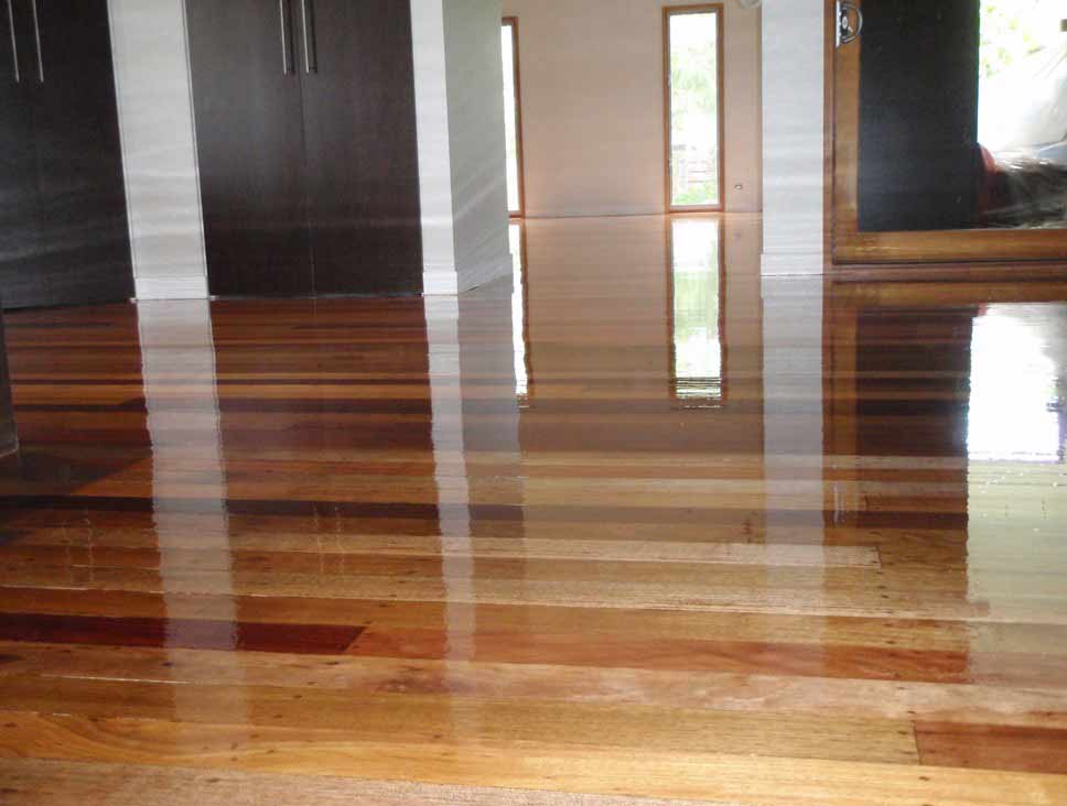 Brisbane Floor Polishing Service Floors Are Us